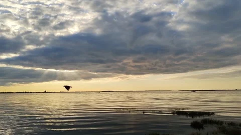 Captivating sunset over tranquil river or lake, with sun rays piercing through Stock Footage 318303088