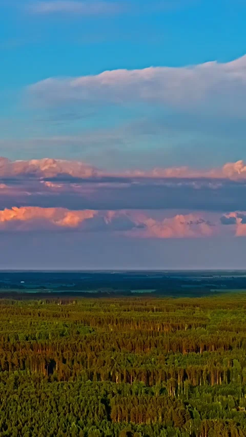 Captivating Timelapse of Dramatic Sunset Clouds Over Forest Landscape Stock Footage 333195939