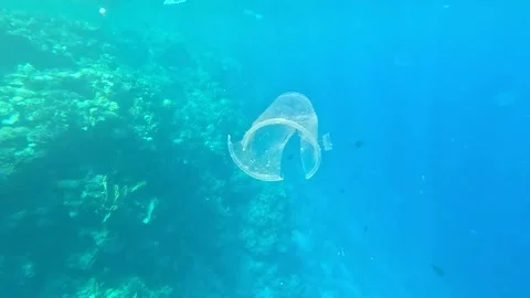 A captivating underwater glimpse of a translucent plastic bag drifting Stock Footage 330696928