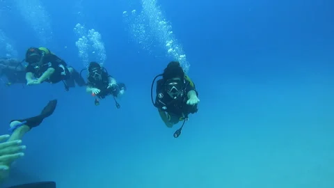 A captivating underwater scene featuring multiple scuba divers Stock Footage 327401791