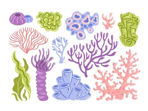 A captivating vector illustration featuring an array of vibrant coral forma.. Stock Illustration