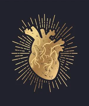 A captivating vector illustration featuring a hand-drawn, textured depiction Stock Illustration