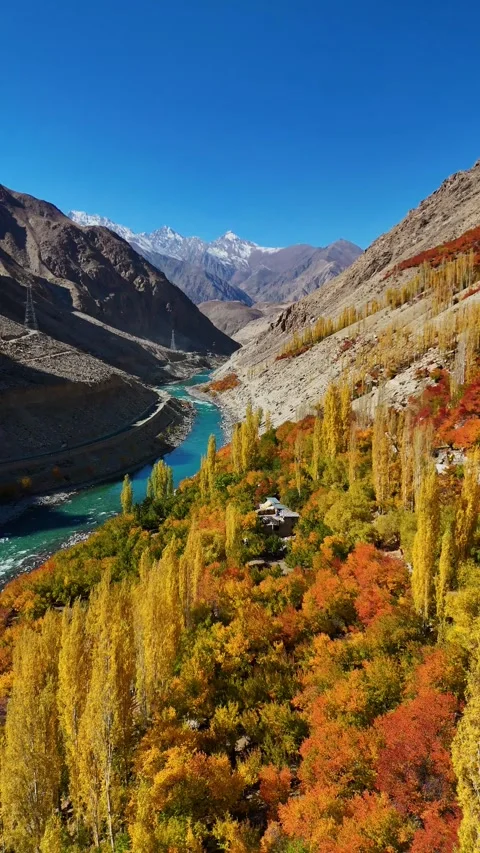 Captivating vertical drone footage of Kargil’s autumn forest by the river. Stock Footage 310664825