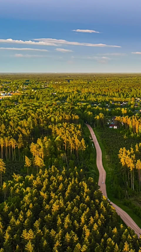 Captivating Vertical Timelapse of Lush Forest and Serene Landscape 動画素材 334092556