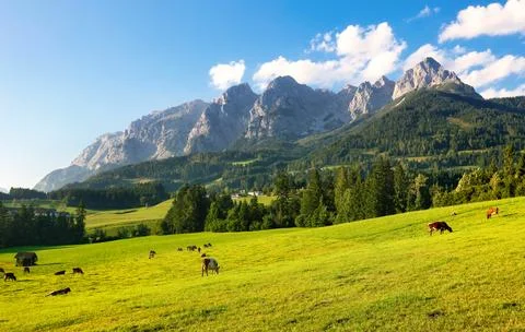 Captivating view of Alpine green fields and traditional wooden houses near .. Stock Photos
