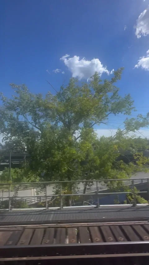 A captivating view from the inside of a moving train Stock Footage 315669423