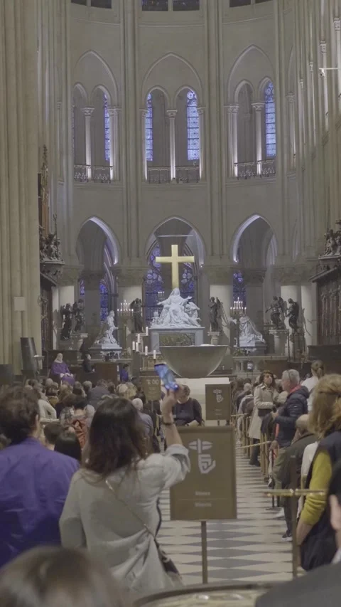 Captivating View Inside Notre Dame Cathedral in Paris with Seated Tourists Stock Footage 318203945