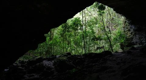 Captivating View of the Jungle from Inside a Large Cave Stock Photos