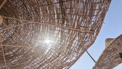 Captivating View of Sunlight Filtering Through a Woven Canopy, Highlighting Stock Footage 330100124