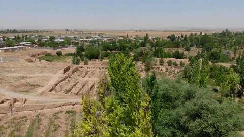A captivating view of verdant trees standing tall on arid, stock footage. Stock Footage 304783496