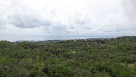Captivating Views of Bali's Lush Forest Canopy Stock Footage 255812185