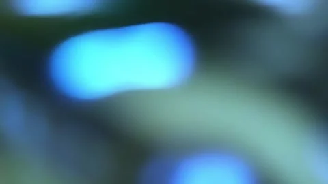 This captivating visual journey showcases the mesmerizing colors and lively Stock Footage 292744490