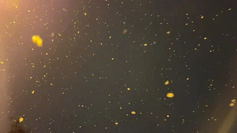 A captivating water-filled darkness, adorned with glistening elements. Stock Footage 266101582