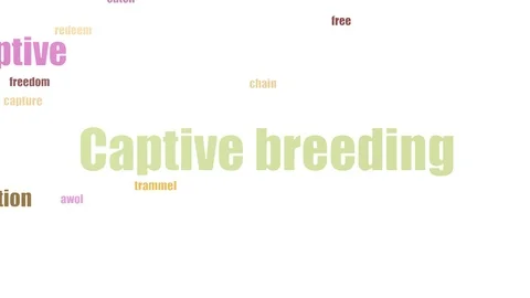 Captive Breeding Wordcloud Animated Isolated Video stock 103654510