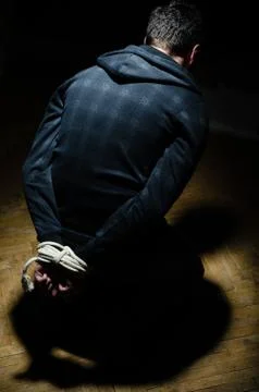 Captive Stock Photos