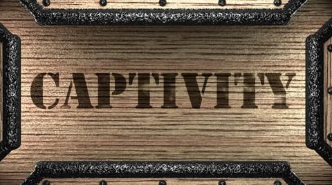 Captivity on wooden stamp 库存影片 8647982