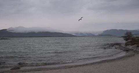 Capture the grace of a seagull in flight, soaring above the rugged mountain lake Stock-Footage 252467437