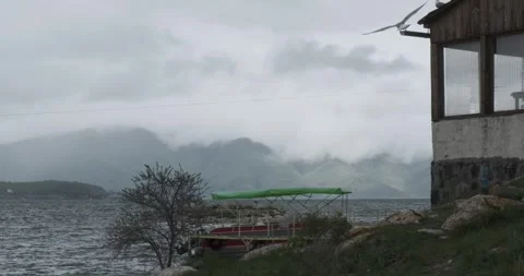 Capture the moment as a seagull gracefully glides past against the backdrop of a Stock Footage 252467291