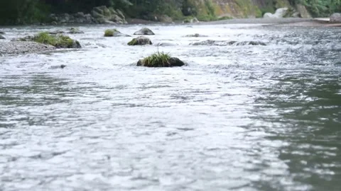 Capture the natural river from the middle MP4 Stock-Footage 168174082
