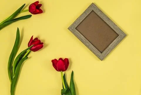 Capture One Session0019 Foto stock