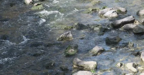 Capture the pristine beauty of a mountain river in spring, where glistening Stock Footage 252466244