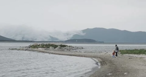 Capture the serene beauty of the lakeside in the Sevan Mountains, where seagulls Stock Footage 252467852
