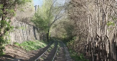 Capture serene old train tracks between a hill and trees, parallel to a road, in Stock Footage 252466101
