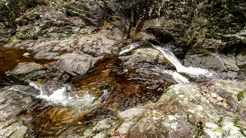 Capture the stream of water in slow motion. 스톡 동영상 145966613