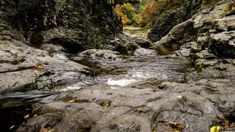 Capture the stream of water in slow motion. Vidéo 145966626