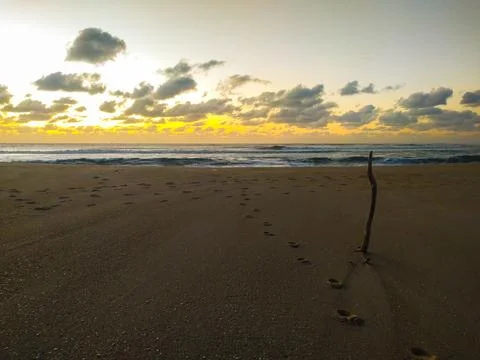Capture tranquility with this golden beach sunset. Footprints lead to a drift Stock Photos