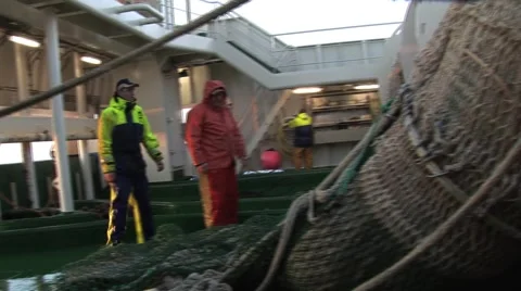 Captured Fish Stock Footage 4269077