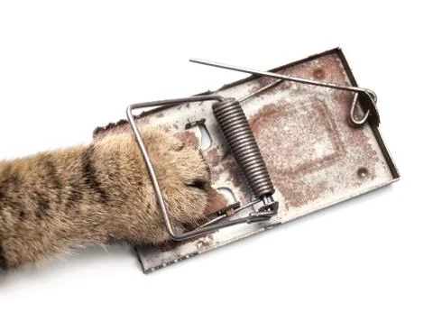 Captured hunter Stock Photos