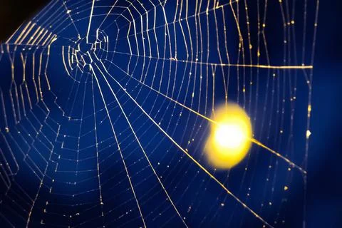 Captured moon Stock Photos