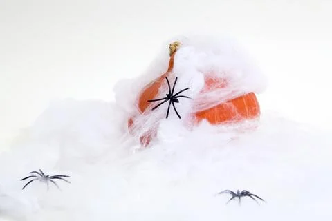 Captured pumpkin Stock Photos