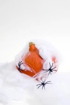 Captured pumpkin Stock Photos
