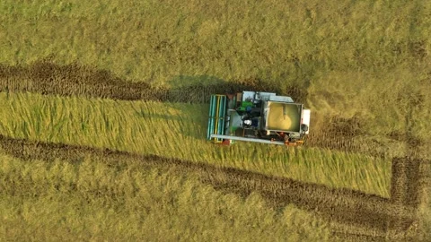 Captures the dynamic movement of farm machinery. Video stock 306138044