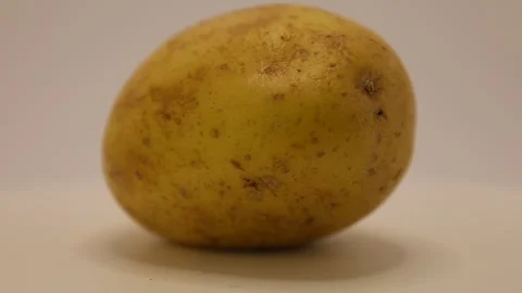 Captures a stunning potato with extraordinary shapes and textures in a simplisti Stock Footage 328632659