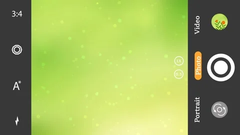 Capturing beautiful flowers in mobile camera footage Stock Footage 245743397