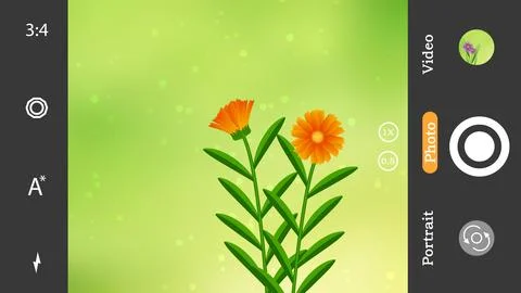 Capturing beautiful flowers in mobile camera illustration image Stock Illustration