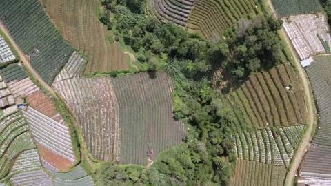 Capturing Clouds and Farm Land by Moving the Gimbal Stock Footage 152750115