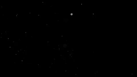 Capturing Falling Snowflakes at Night in a Serene Winter Wonderland Stock Footage 341926312
