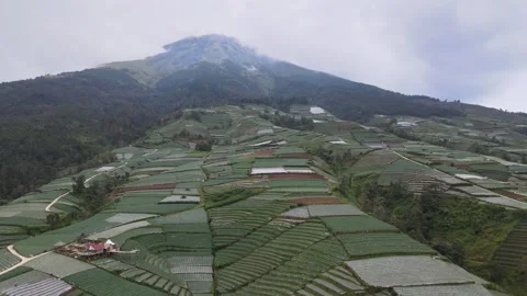 Capturing the Farm Land Video stock 152749246