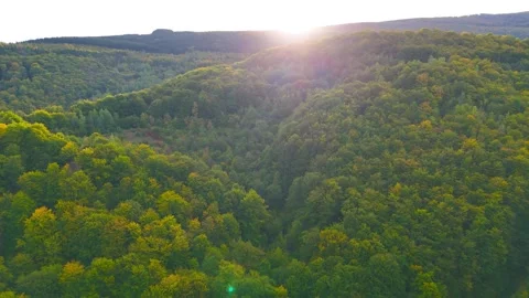 Capturing Green Peaks from Above Vídeo Stock 296667773