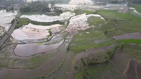 Capturing the Groups of Bird Stock Footage 152749141