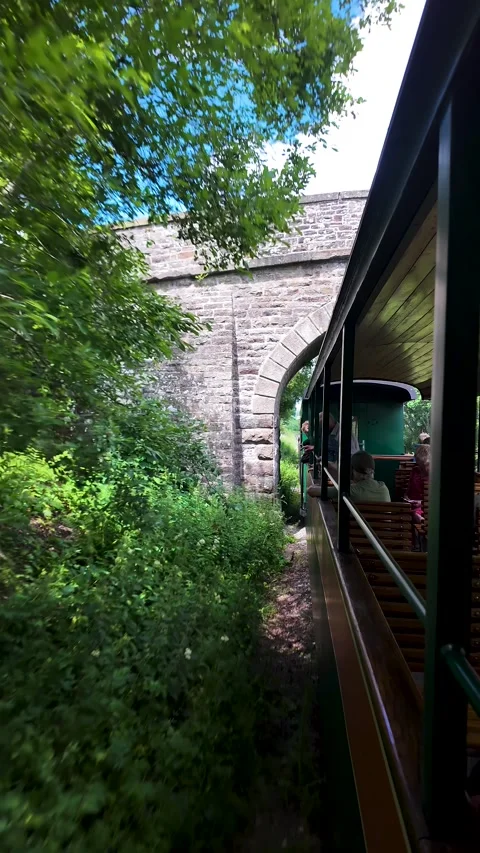 Capturing the joy of passengers on a steam train journey through the lush green Stock Footage 339378202
