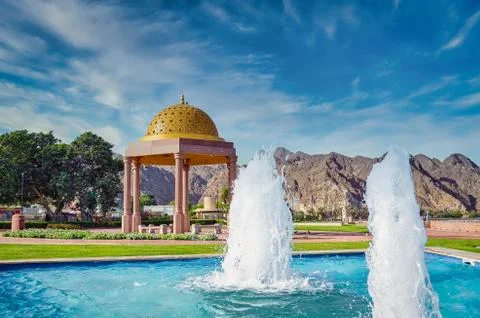 Capturing the Moment Fotos Stock