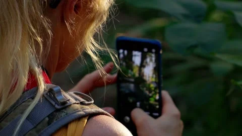 Capturing Nature Stock Footage 163945079