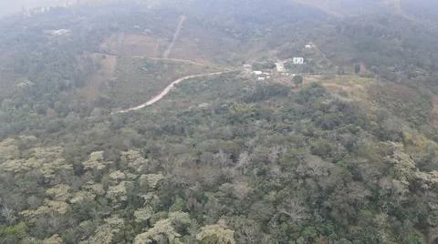 Capturing part of the forest that is now reached by the population stain Stock Photos