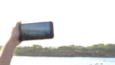Capturing Scenic River View with Smart phone Stock Footage 283209810