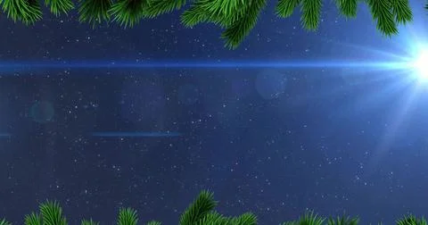 Capturing starlit night sky glowing over forest edge, with pine branches, Stock Illustration